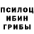 Псилоцибиновые грибы мухоморы luiza salieva