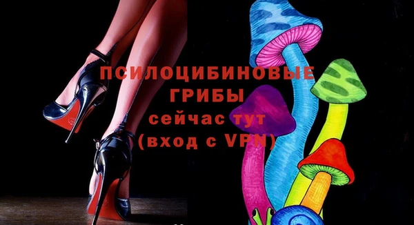 крисы Медногорск