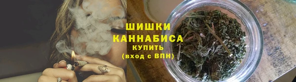 крисы Медногорск