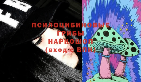 крисы Медногорск