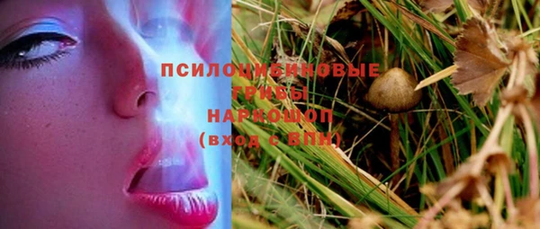 винт Медвежьегорск