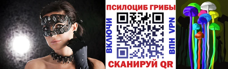 купить  цена  Новая Усмань  Галлюциногенные грибы Psilocybe 